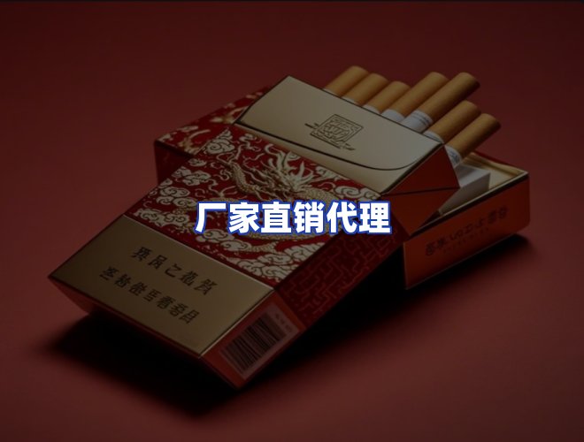 专业团队